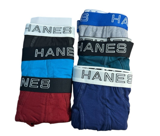 Hanes Men's Tagless Briefs