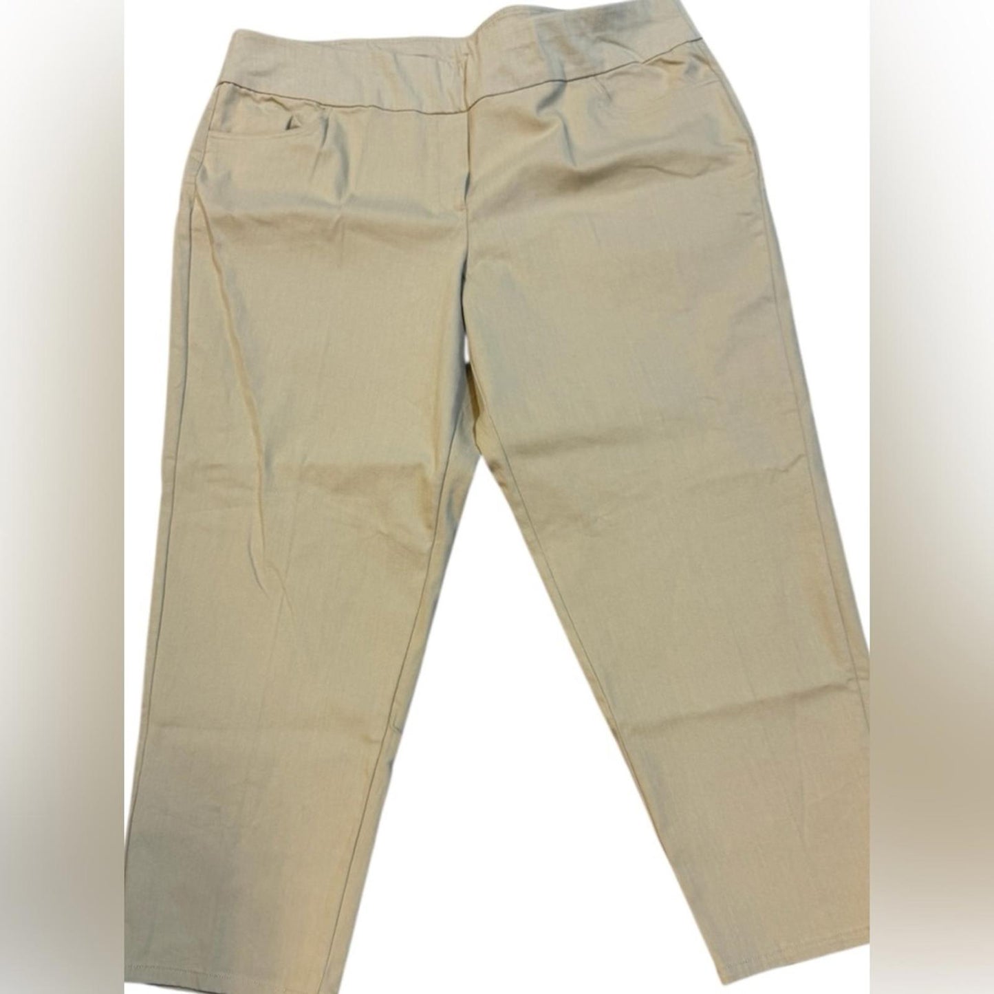 Alfred Dunner Beige Straight Leg Women's Pants