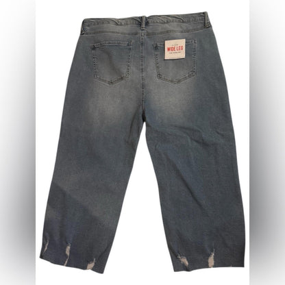 Celebrity pink The Darling Women's Blue Jeans